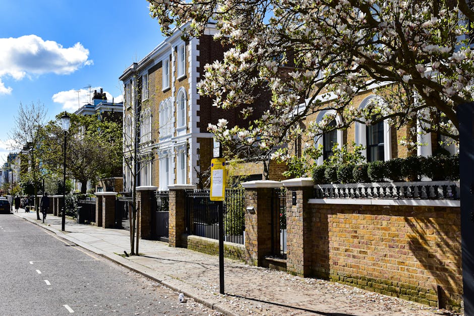 A residential street scene in Dulwich Village showing a row of traditional Victorian-style brick houses with white window frames and decorative architectural details. In the foreground, a blooming tree with white flowers partially obscures some of the houses. The pavement is lined with young trees, and a black metal fence borders the front gardens, which contain well-maintained shrubs and small plants. A yellow and white bus stop sign is visible along the sidewalk, with a black lamppost nearby. The sky is bright with a few white clouds, and sunlight casts shadows along the street indicating a sunny day. The scene provides a calm setting for house removals or home relocation services, illustrating the type of residential environment where professional movers such as Man and Van Dulwich operate preparation, packing, loading, and transportation activities as part of house removals in Dulwich.